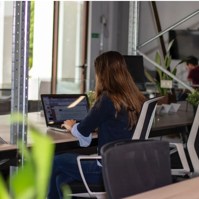 employee working using laptop